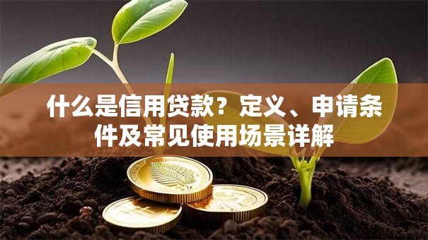 什么是信用贷款？定义、申请条件及常见使用场景详解