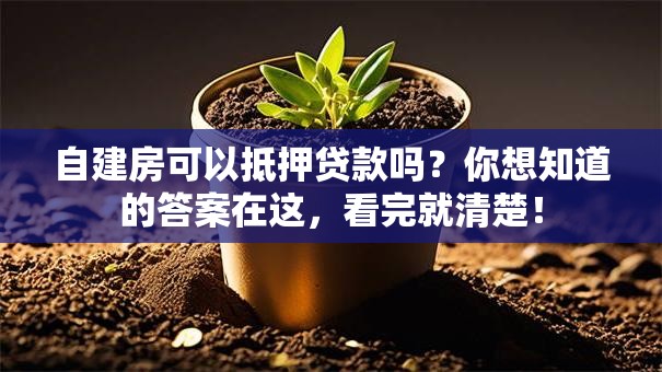 自建房可以抵押贷款吗？你想知道的答案在这，看完就清楚！