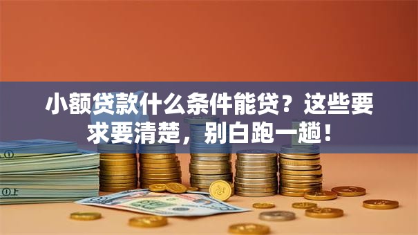 小额贷款什么条件能贷？这些要求要清楚，别白跑一趟！