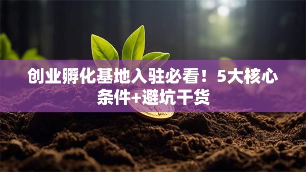 创业孵化基地入驻必看！5大核心条件+避坑干货
