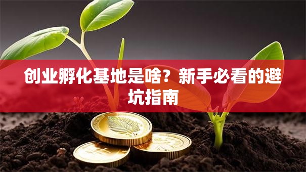 创业孵化基地是啥？新手必看的避坑指南