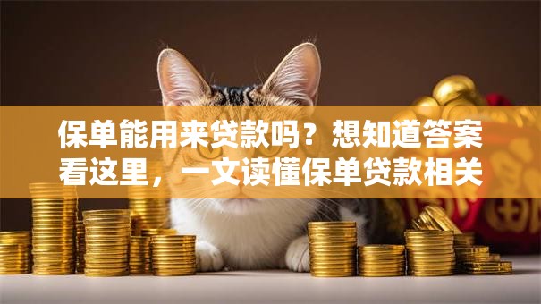 保单能用来贷款吗？想知道答案看这里，一文读懂保单贷款相关问题