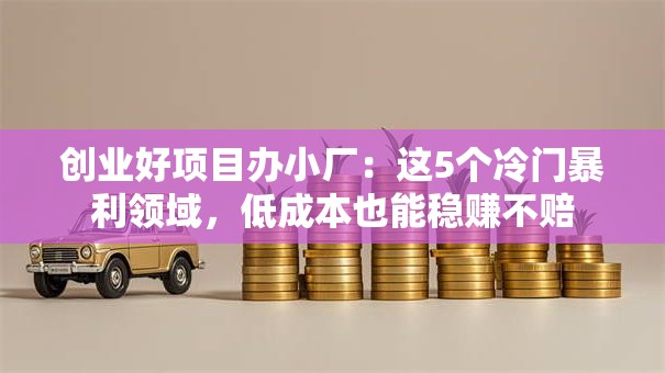 创业好项目办小厂：这5个冷门暴利领域，低成本也能稳赚不赔