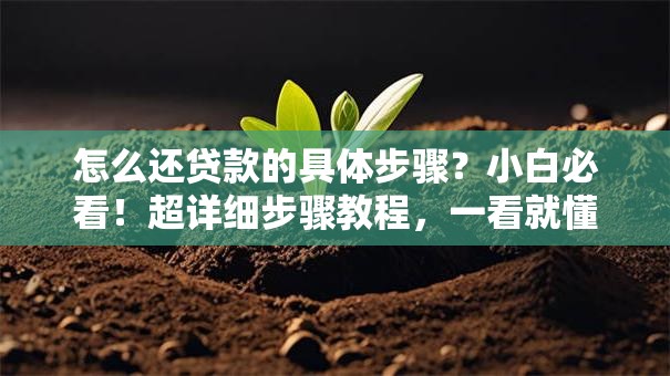 怎么还贷款的具体步骤？小白必看！超详细步骤教程，一看就懂