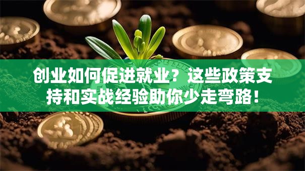 创业如何促进就业？这些政策支持和实战经验助你少走弯路！