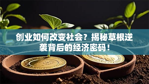 创业如何改变社会？揭秘草根逆袭背后的经济密码！