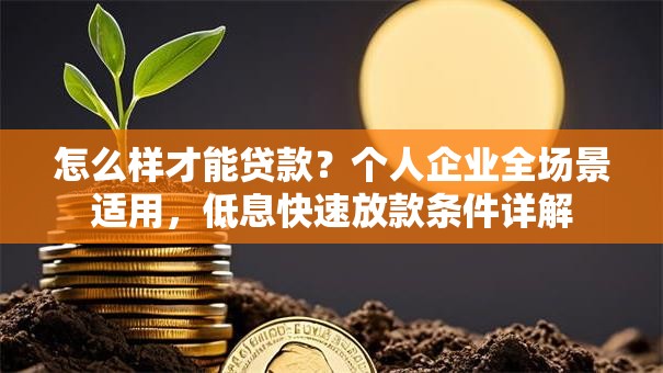 怎么样才能贷款？个人企业全场景适用，低息快速放款条件详解