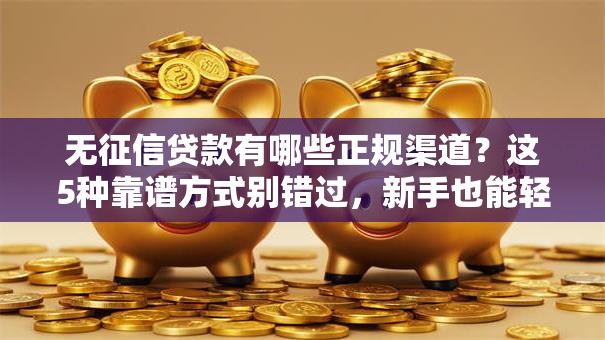无征信贷款有哪些正规渠道？这5种靠谱方式别错过，新手也能轻松弄明白