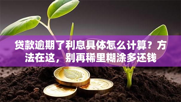 贷款逾期了利息具体怎么计算?方法在这,别再稀里糊涂多还钱 贷款逾期了利息具体怎么计算?方法在这,别再稀里糊涂多还钱