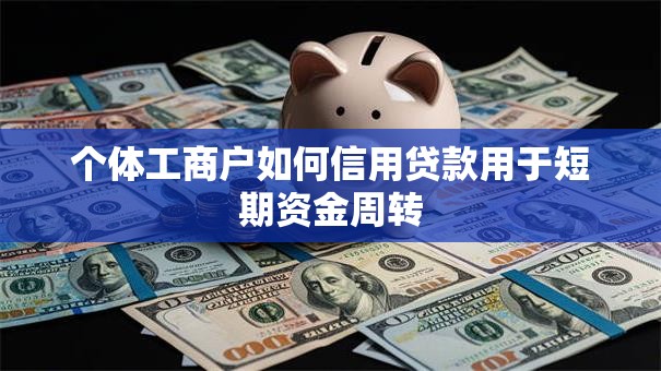 个体工商户如何信用贷款用于短期资金周转