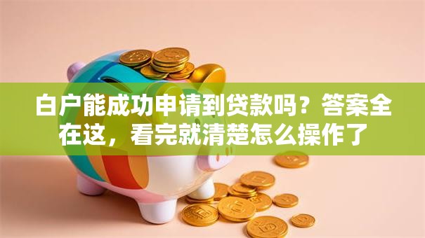 白户能成功申请到贷款吗？答案全在这，看完就清楚怎么操作了