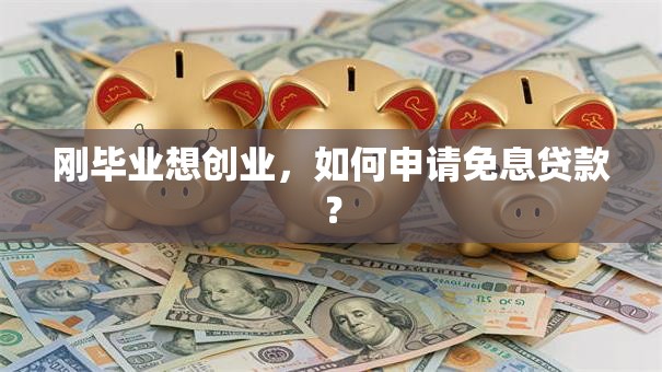 刚毕业想创业，如何申请免息贷款？