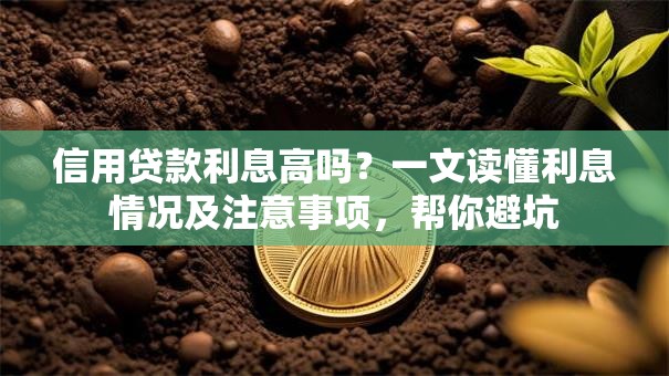 信用贷款利息高吗？一文读懂利息情况及注意事项，帮你避坑