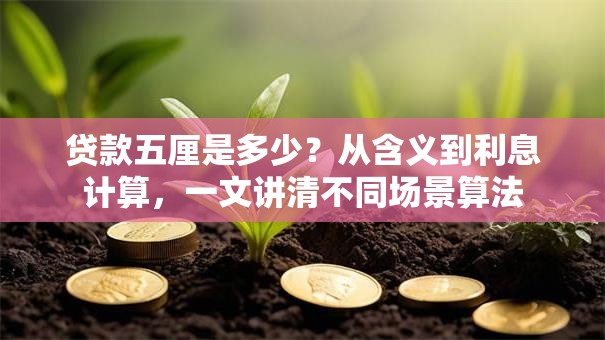 贷款五厘是多少？从含义到利息计算，一文讲清不同场景算法