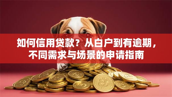如何信用贷款？从白户到有逾期，不同需求与场景的申请指南