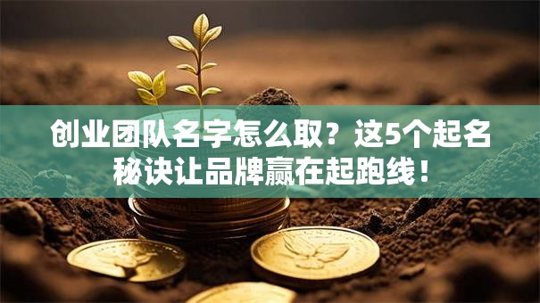 创业团队名字怎么取？这5个起名秘诀让品牌赢在起跑线！