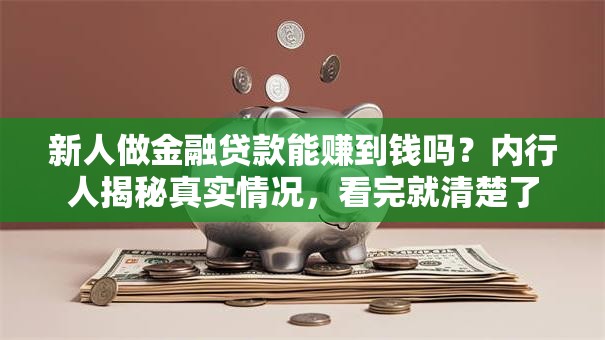 新人做金融贷款能赚到钱吗？内行人揭秘真实情况，看完就清楚了