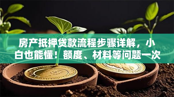 房产抵押贷款流程步骤详解，小白也能懂！额度、材料等问题一次说清