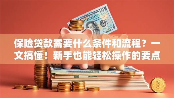 保险贷款需要什么条件和流程？一文搞懂！新手也能轻松操作的要点在这