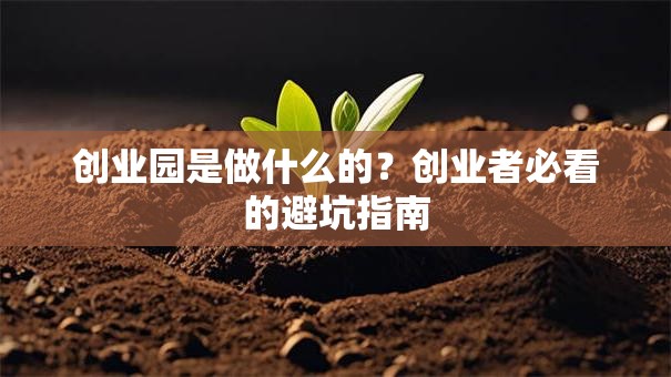 创业园是做什么的？创业者必看的避坑指南
