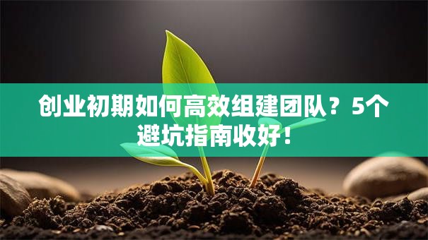 创业初期如何高效组建团队？5个避坑指南收好！