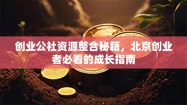 创业公社资源整合秘籍，北京创业者必看的成长指南