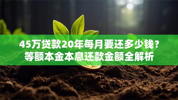 45万贷款20年每月要还多少钱？等额本金本息还款金额全解析