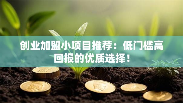 创业加盟小项目推荐：低门槛高回报的优质选择！