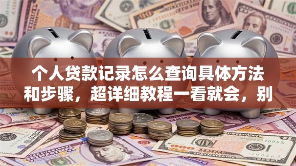 个人贷款记录怎么查询具体方法和步骤，超详细教程一看就会，别再瞎摸索啦