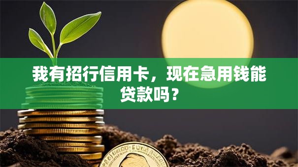 我有招行信用卡，现在急用钱能贷款吗？