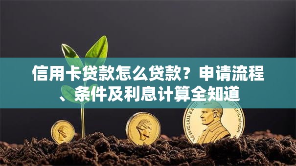 信用卡贷款怎么贷款？申请流程、条件及利息计算全知道