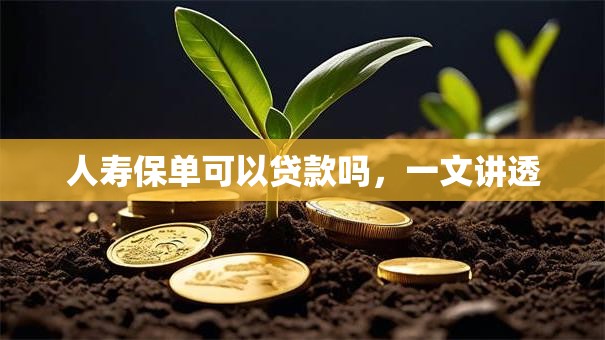人寿保单可以贷款吗，一文讲透