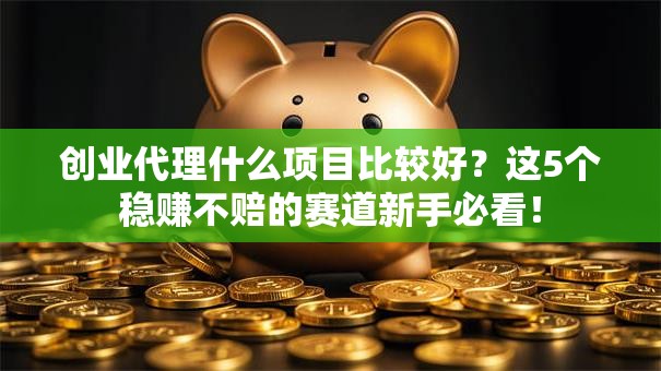 创业代理什么项目比较好？这5个稳赚不赔的赛道新手必看！