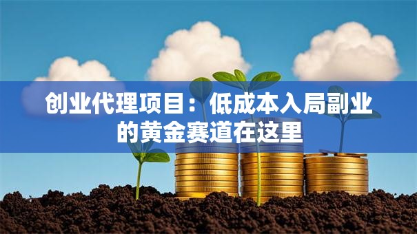创业代理项目：低成本入局副业的黄金赛道在这里