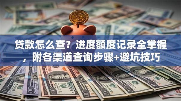 贷款怎么查？进度额度记录全掌握，附各渠道查询步骤+避坑技巧
