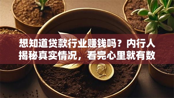 想知道贷款行业赚钱吗？内行人揭秘真实情况，看完心里就有数了