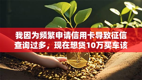我因为频繁申请信用卡导致征信查询过多，现在想贷10万买车该怎么办？