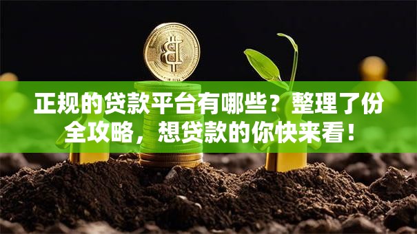 正规的贷款平台有哪些？整理了份全攻略，想贷款的你快来看！