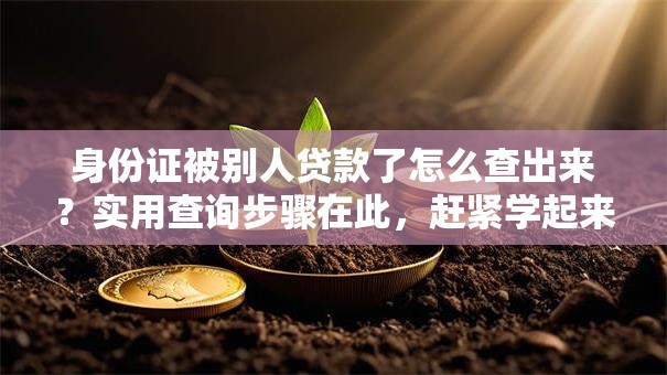 身份证被别人贷款了怎么查出来？实用查询步骤在此，赶紧学起来别吃大亏！