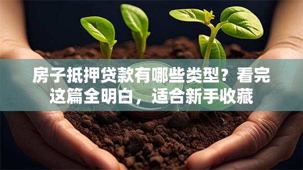 房子抵押贷款有哪些类型？看完这篇全明白，适合新手收藏