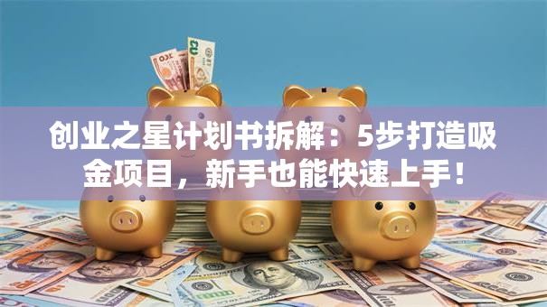 创业之星计划书拆解：5步打造吸金项目，新手也能快速上手！