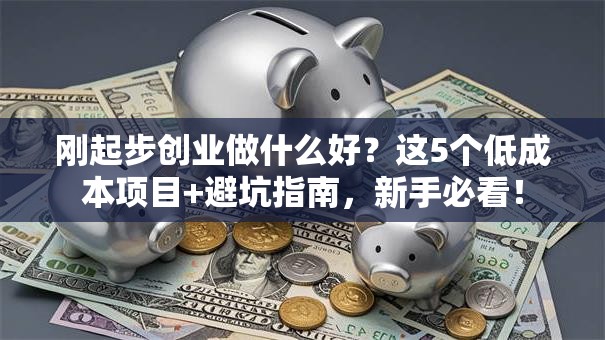 刚起步创业做什么好？这5个低成本项目+避坑指南，新手必看！