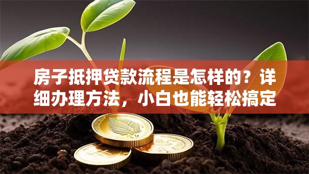 房子抵押贷款流程是怎样的？详细办理方法，小白也能轻松搞定