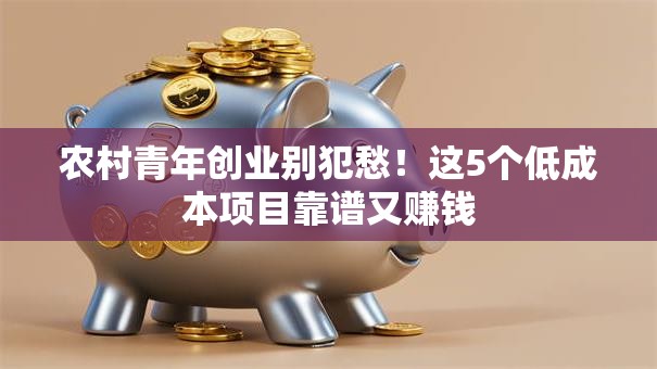 农村青年创业别犯愁！这5个低成本项目靠谱又赚钱