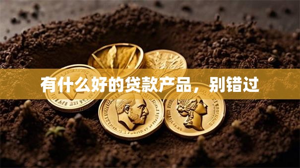 有什么好的贷款产品，别错过