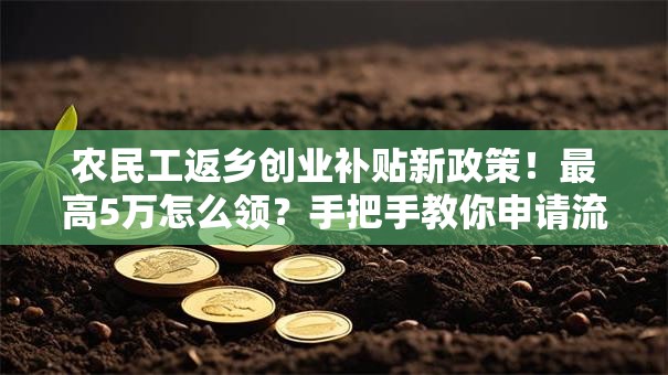 农民工返乡创业补贴新政策！最高5万怎么领？手把手教你申请流程
