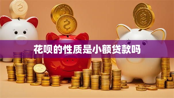 花呗的性质是小额贷款吗