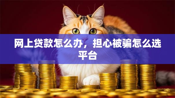 网上贷款怎么办，担心被骗怎么选平台