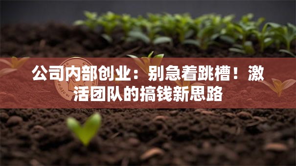 公司内部创业：别急着跳槽！激活团队的搞钱新思路