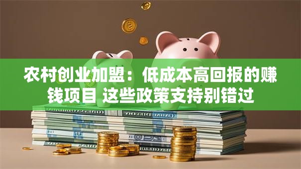 农村创业加盟：低成本高回报的赚钱项目 这些政策支持别错过